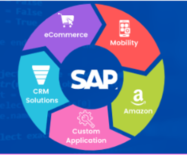 What is SAP System and Why it is important? - Speranza